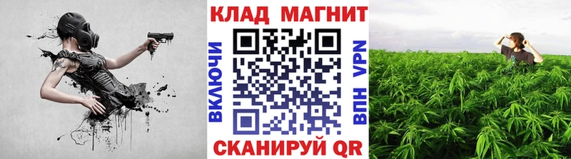 Галлюциногенные грибы Заринск