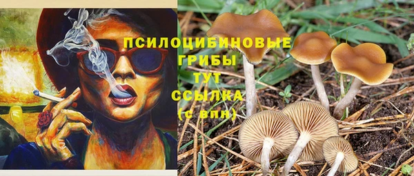 гашик Зеленодольск