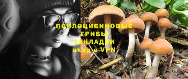 кокаин Заводоуковск