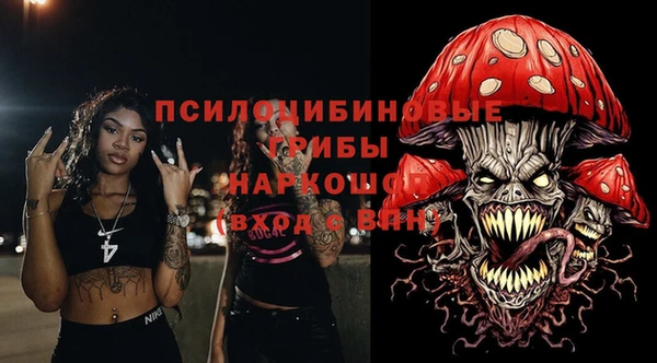PSILOCYBIN Зерноград